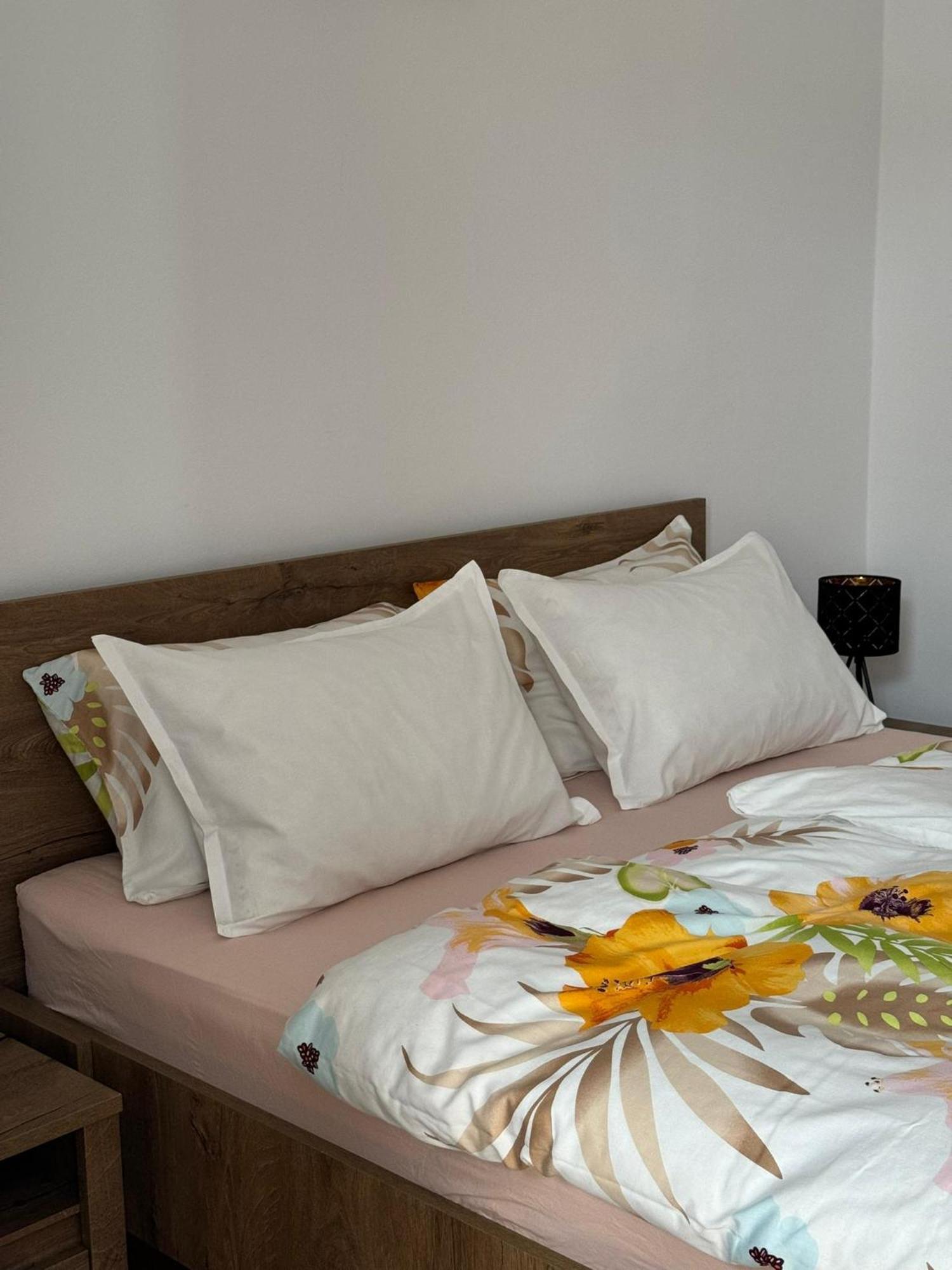 Apartament Victoria Timisoara Exterior photo